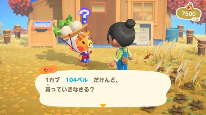 【カブ】カブの値段ってこれ完全ランダムなの？？⇒そこは〇〇だからちゃんと把握するんだぞ