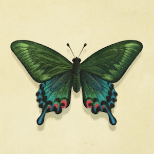 【話題】カラアゲナーフされたのって〇〇って問い合わせ多かったのかな？