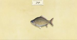 【悲報】もう卵要らないんだけど…ｗフナを釣りたいんだが！？