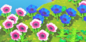 【疑問】 離島からもらってきたレア花って交配に使えるの？