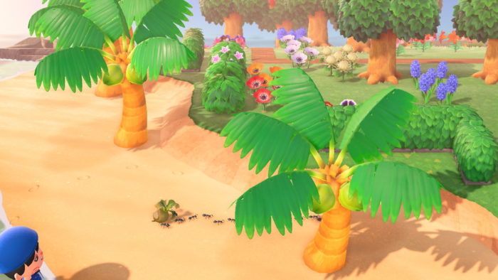 【話題】アリって腐ったカブの周辺が広くないと出ないとかない？？