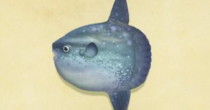 【驚愕】あの魚釣ったんだが、怖すぎワロタｗｗｗｗｗｗｗ