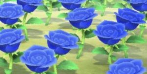 【苦労】青バラ咲かせるまで大変じゃね？ｗｗｗｗ←道のり長いよねｗｗ